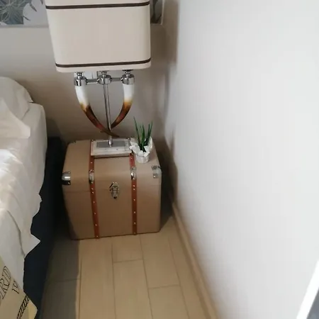 Gp * 福洛尼卡